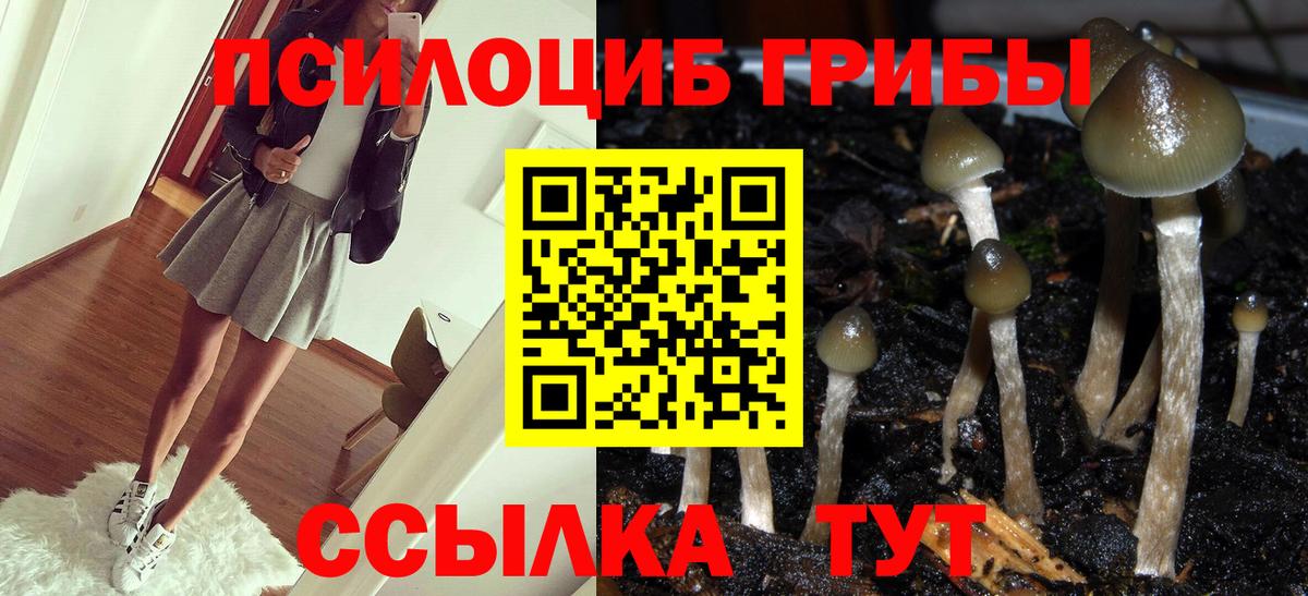 Медногорск  Псилоцибиновые грибы MAGIC MUSHROOMS  Вход с VPN 